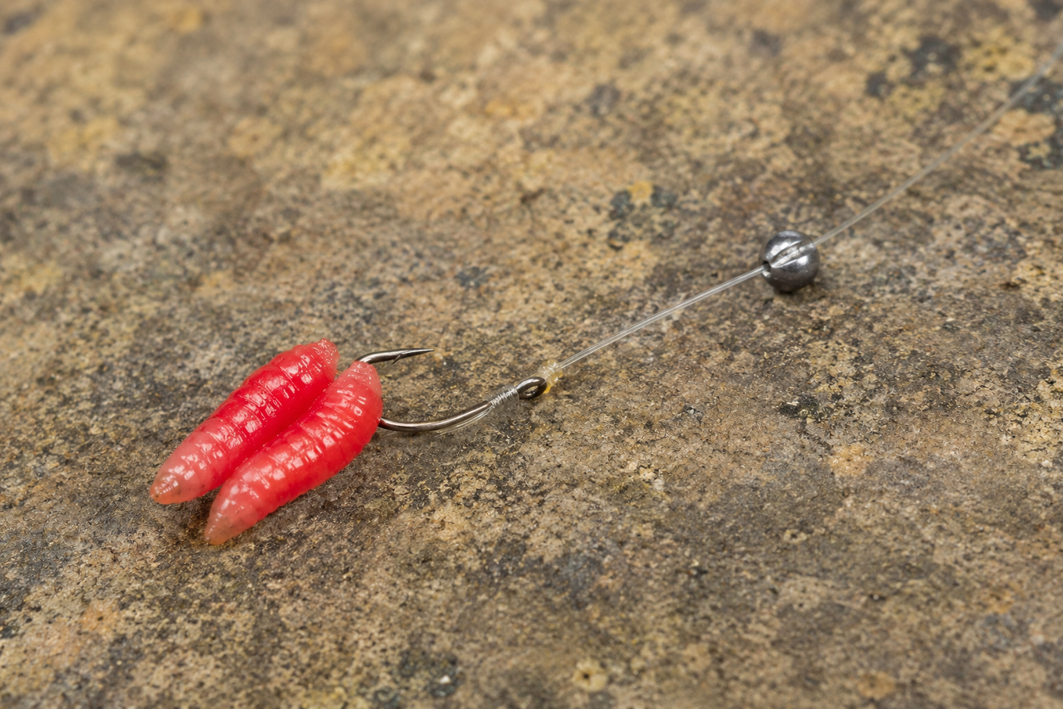 Two red maggots hooked on a small fishing hook with a short length of line and a single split shot.