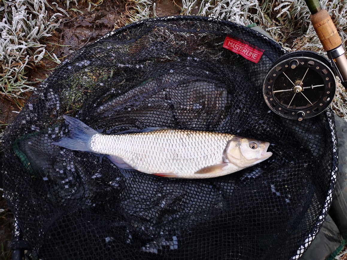 Chub lying on a net with a centre reel next to the fish