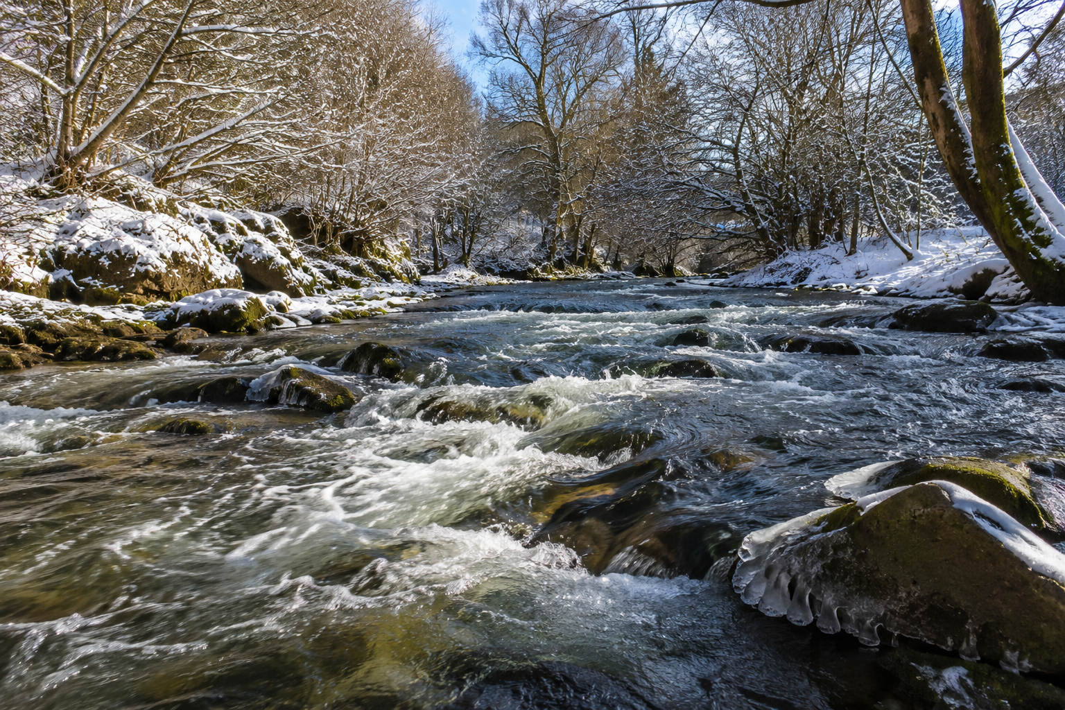 Winter on a fast flowing stream. Trees and river