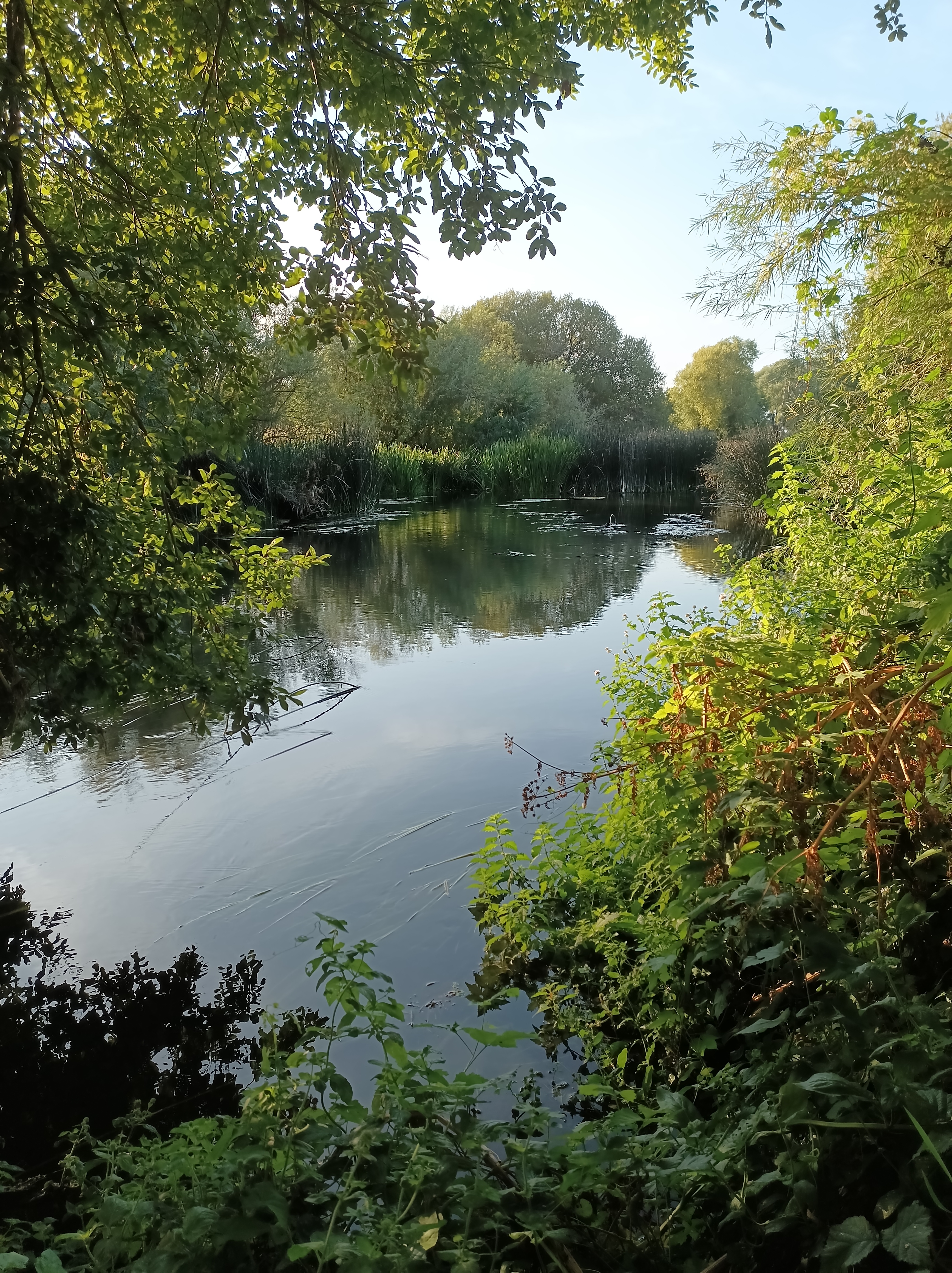 A beautiful section of the River Stour